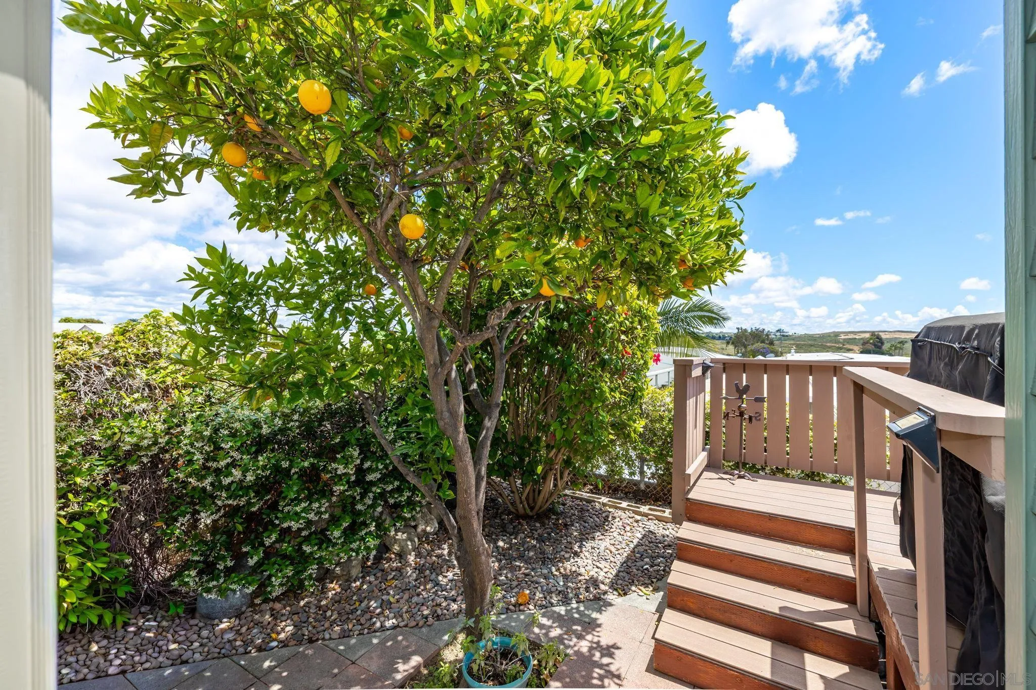 116 Havenview Lane Oceanside, CA 92056 - Photo 23 of 47 a view of outdoor space and yard