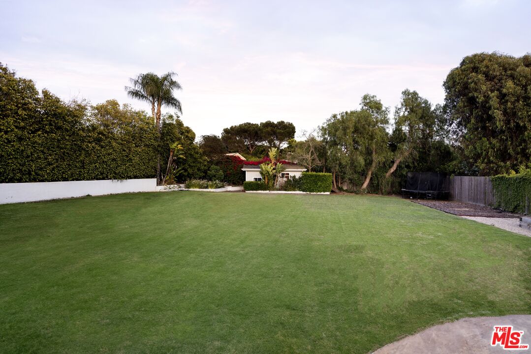 29328 Heathercliff Road Malibu, CA 90265 - Photo 42 of 46 a view of yard with grass & palm trees