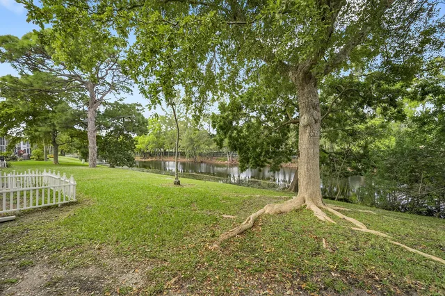 a view of a tree in a yard