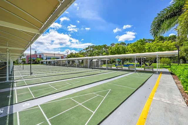 a view of a tennis ground with large trees