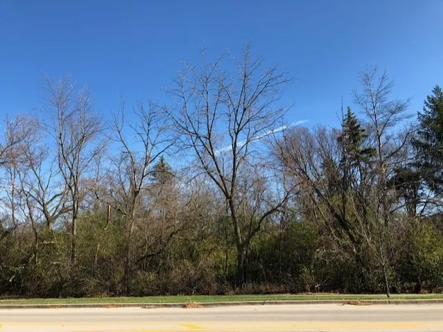 a view of a yard and basketball court