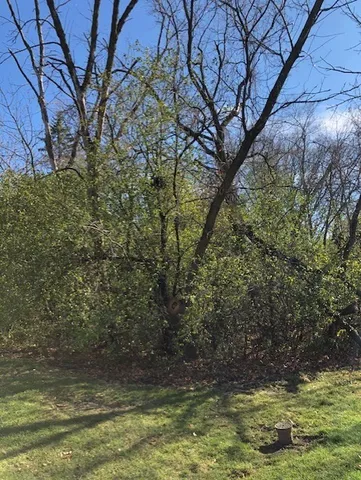 a view of swimming pool with a yard