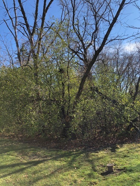 6503 Clarendon Hills Road Willowbrook, IL 60527 - Photo 2 of 3 a view of swimming pool with a yard
