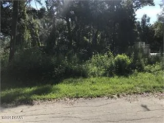 $7,000 | 0 County Road 678, Webster, FL 33597