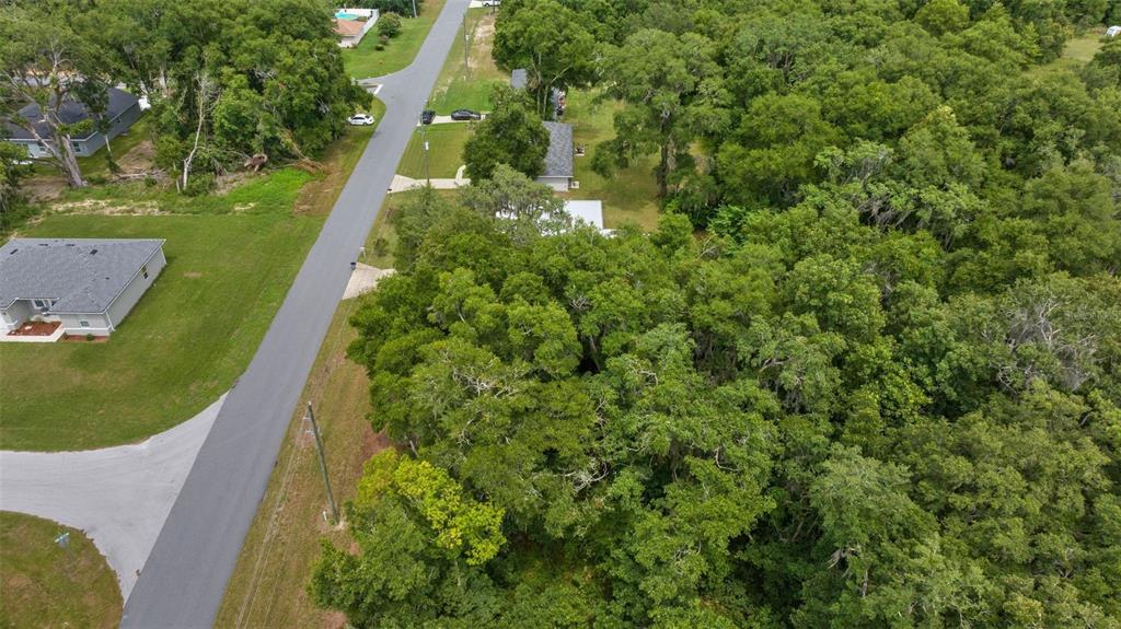 Southwest 131st Pl Road Ocala, FL 34473 - Photo 6 of 8
