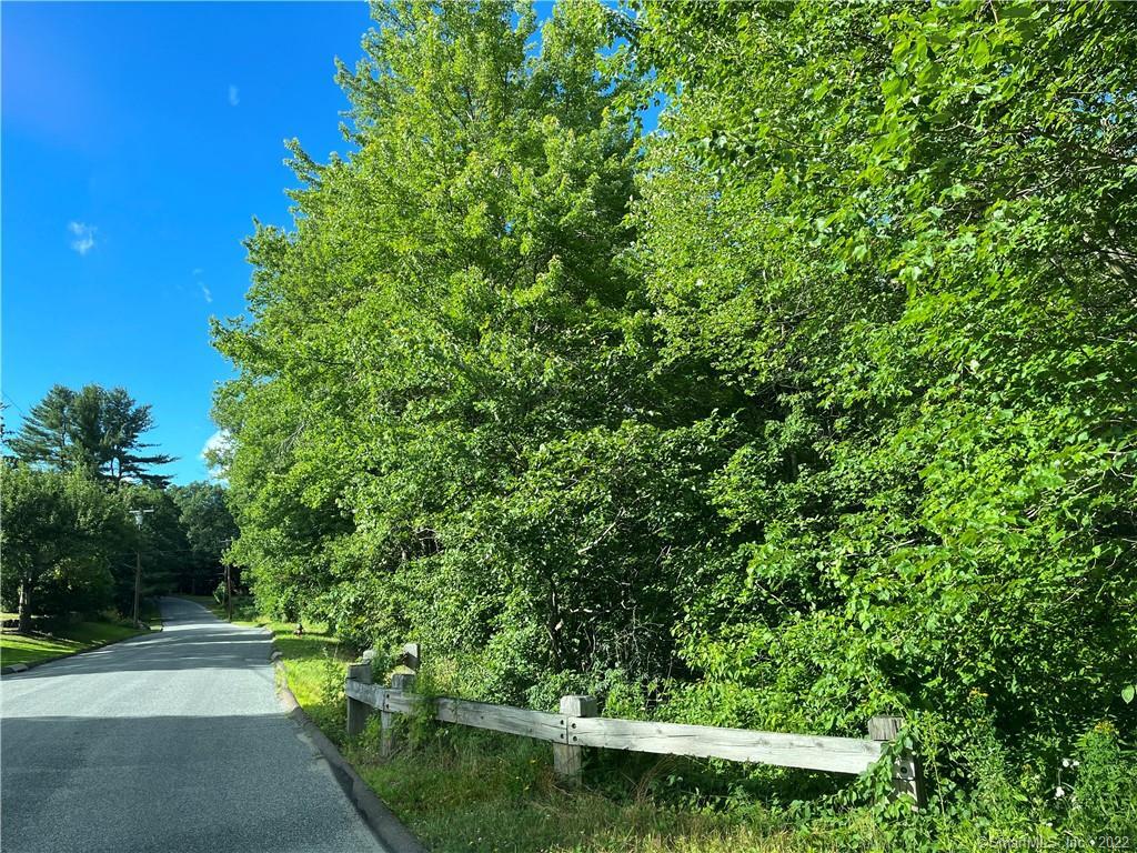 Lot#28 Benson Road Middlebury, CT 06762 - Photo 1 of 1 a view of a yard with plants and large trees