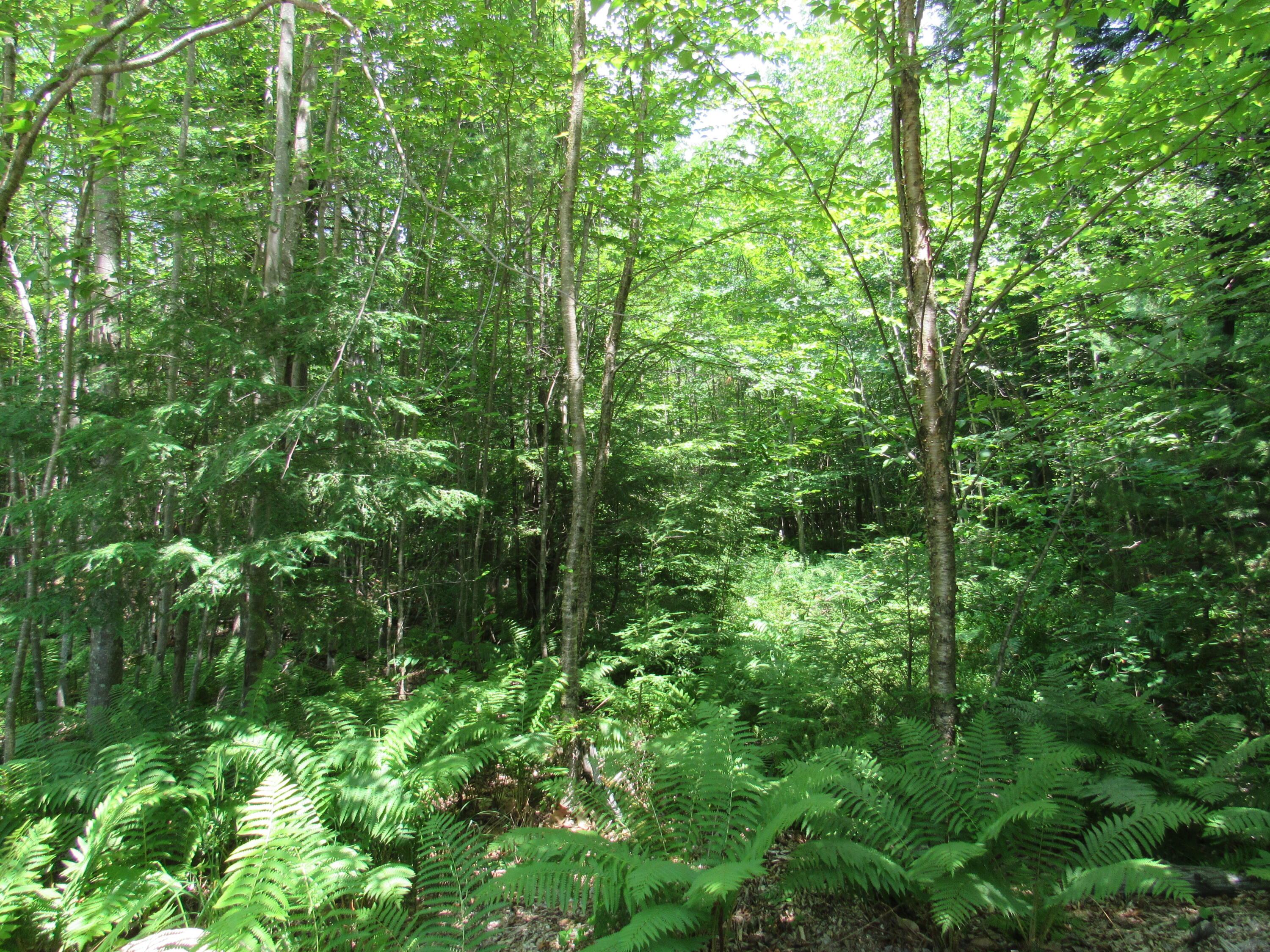 1 Jack Hall Road New Gloucester, ME 04260 - Photo 2 of 7 IMG_7309