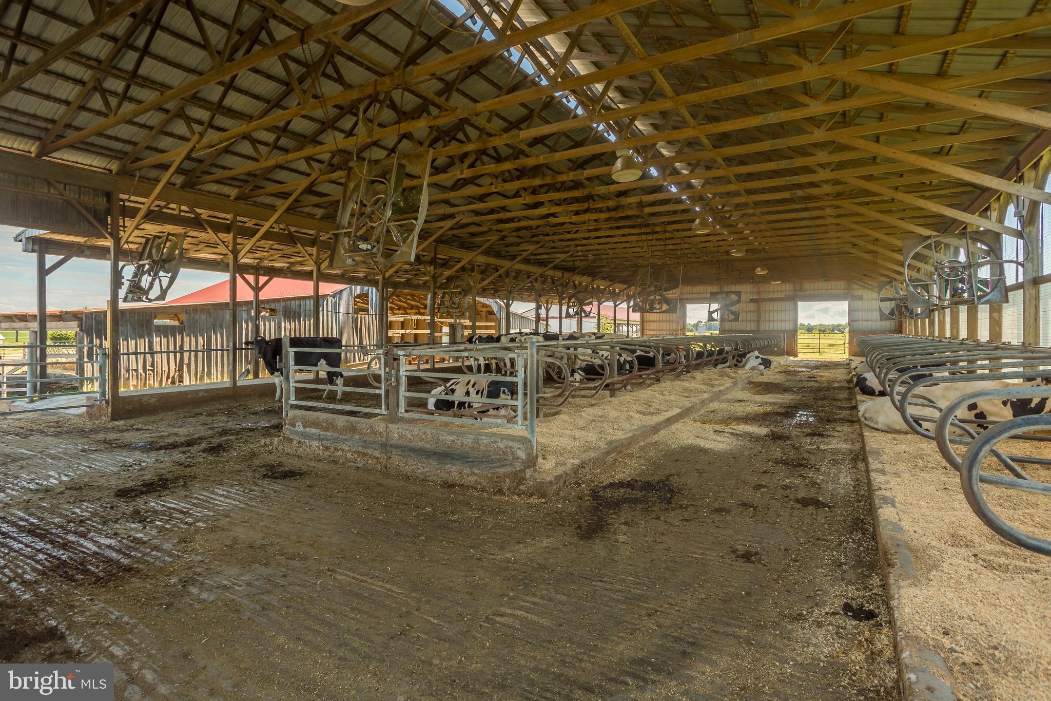 10380 Chapel Road Cordova, MD 21625 - Photo 73 of 95 Gallery Image 73