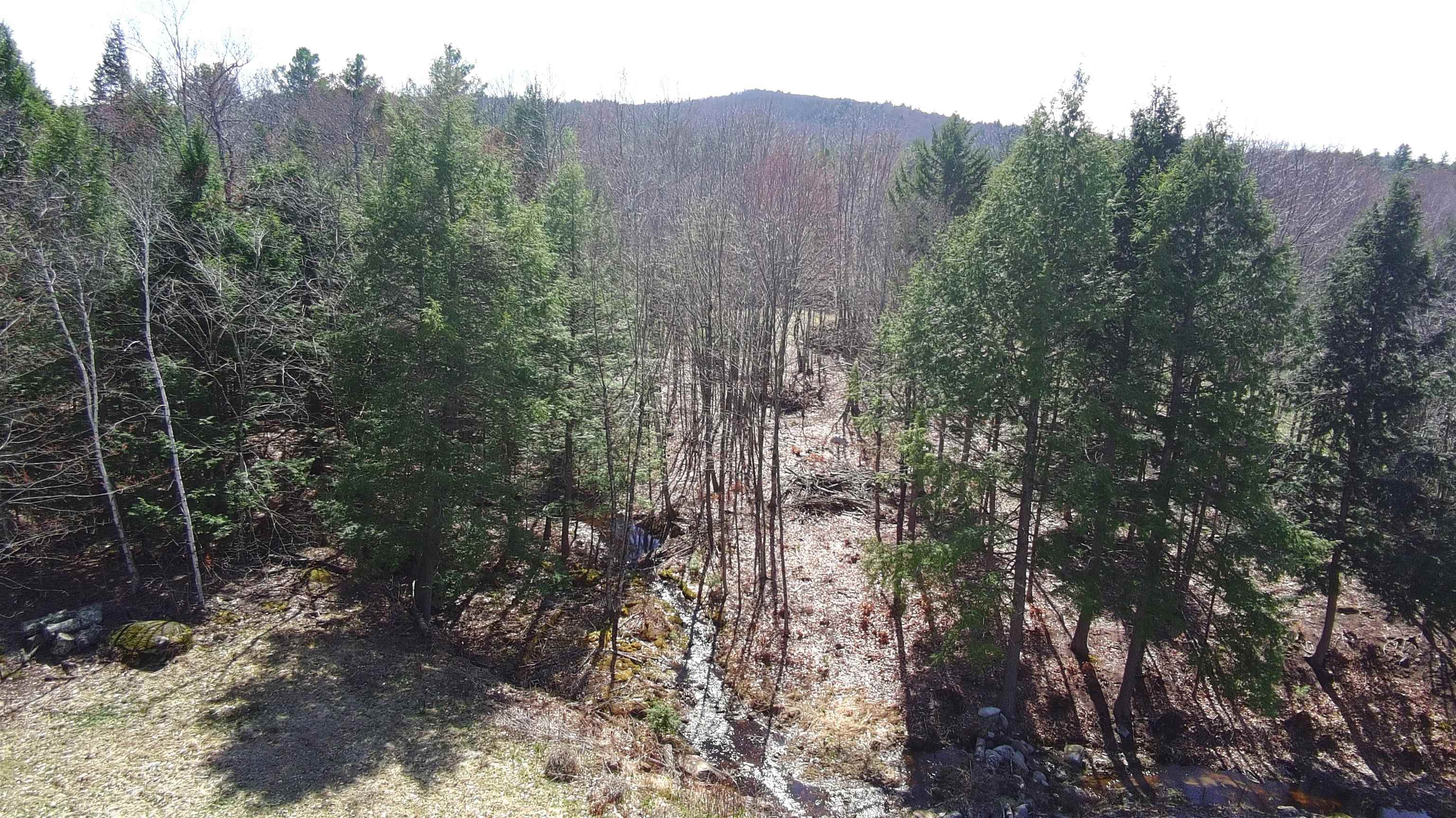 0 Thurber Road Newport, NH 03773 - Photo 3 of 13