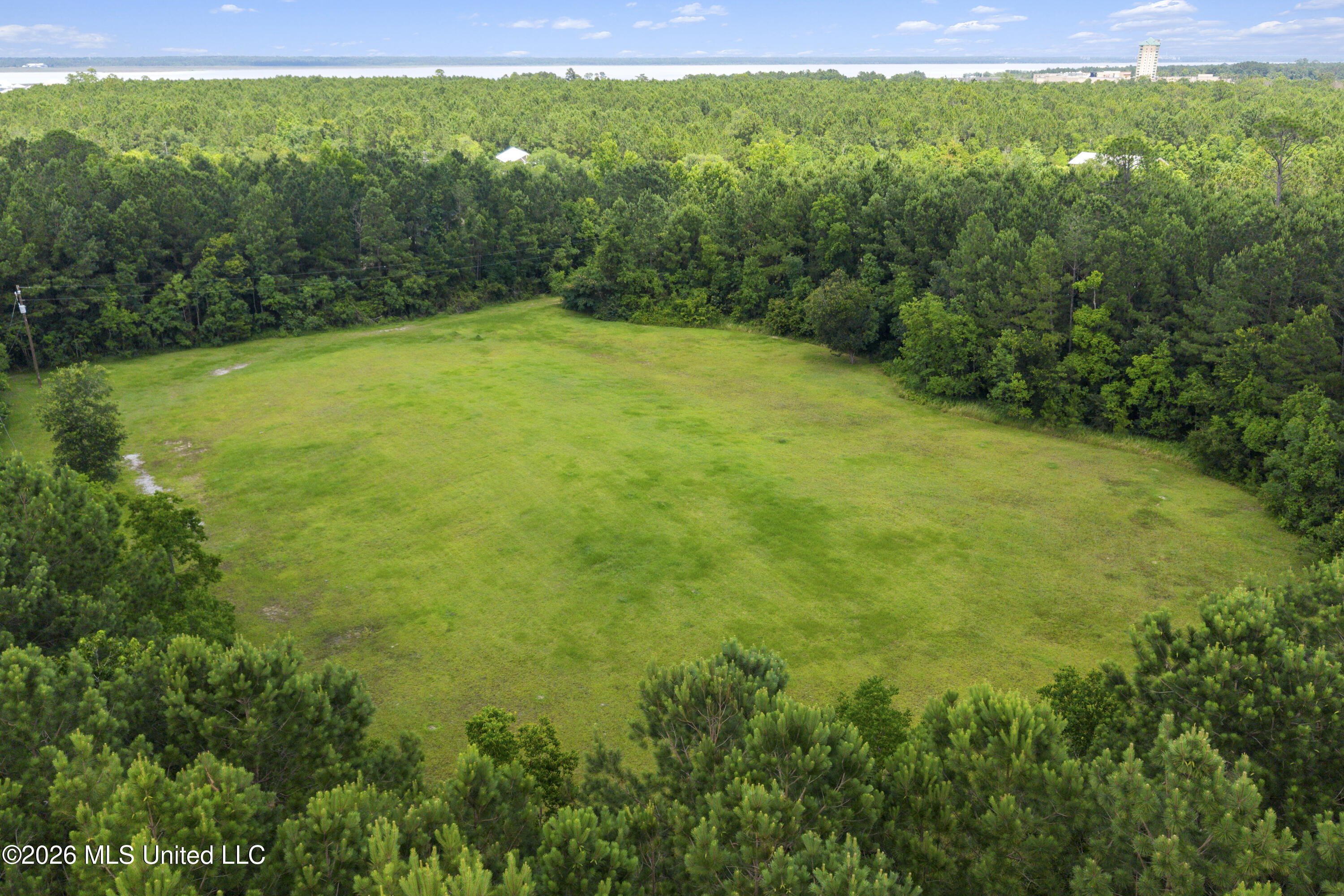 1441 Blue Meadow Road Bay St. Louis, MS 39520 - Photo 9 of 29 00007