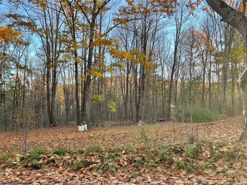61 Hawk Road Windsor, NY 13865 - Photo 9 of 28