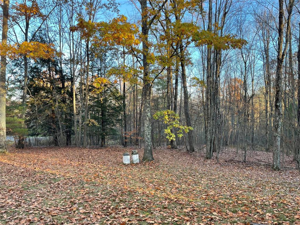 61 Hawk Road Windsor, NY 13865 - Photo 10 of 28