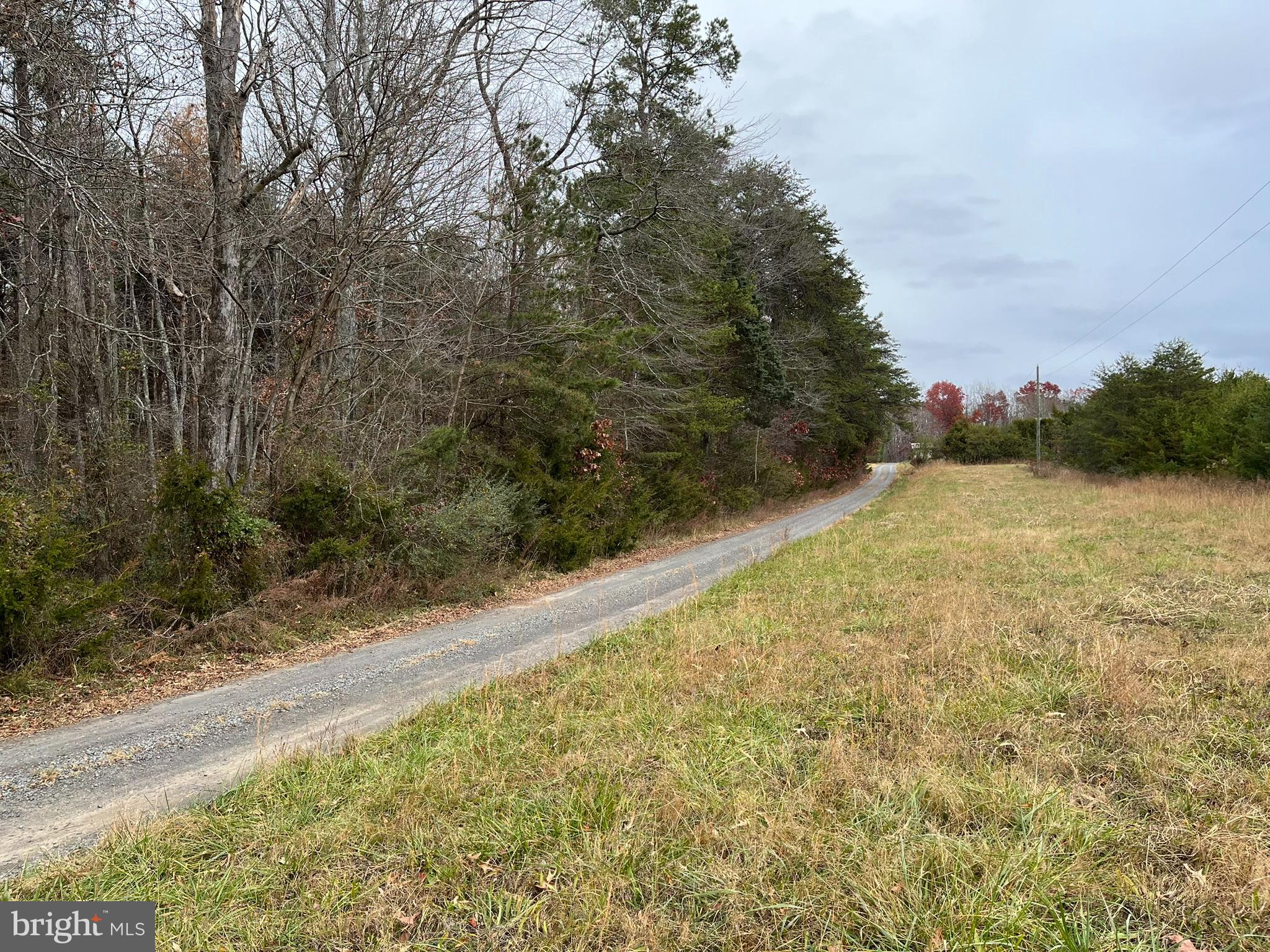 31250 Zoar Road Locust Grove, VA 22508 - Photo 3 of 13 View from Zoar School Road