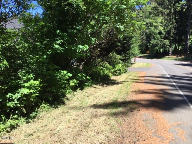 10812 East Devils Lake Road Otis, OR 97368 - Photo 5 of 9 Street North Lot View