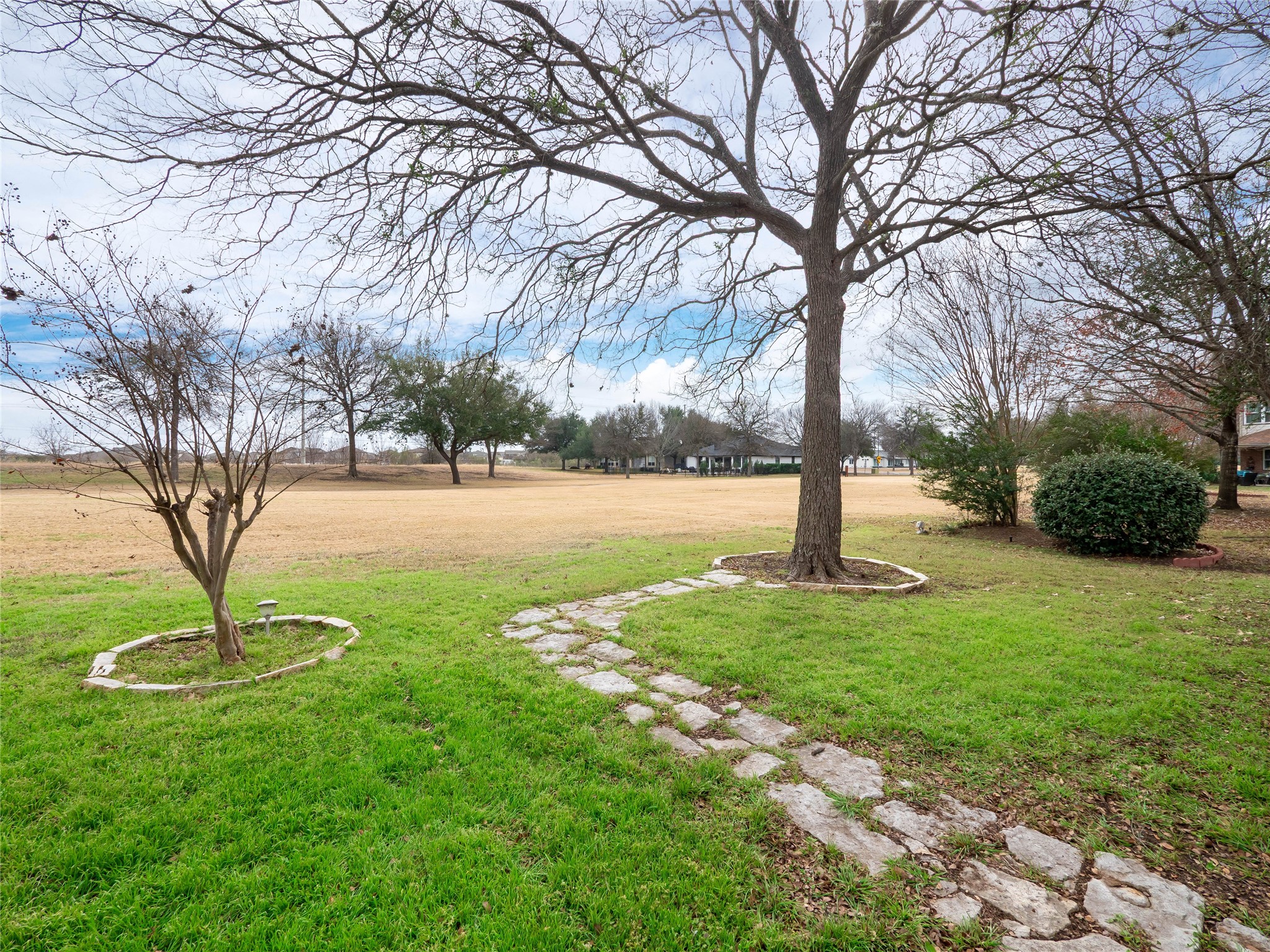 11029 Ballybunion Place Austin, TX 78747 - Photo 35 of 40 a view of a garden with a tree