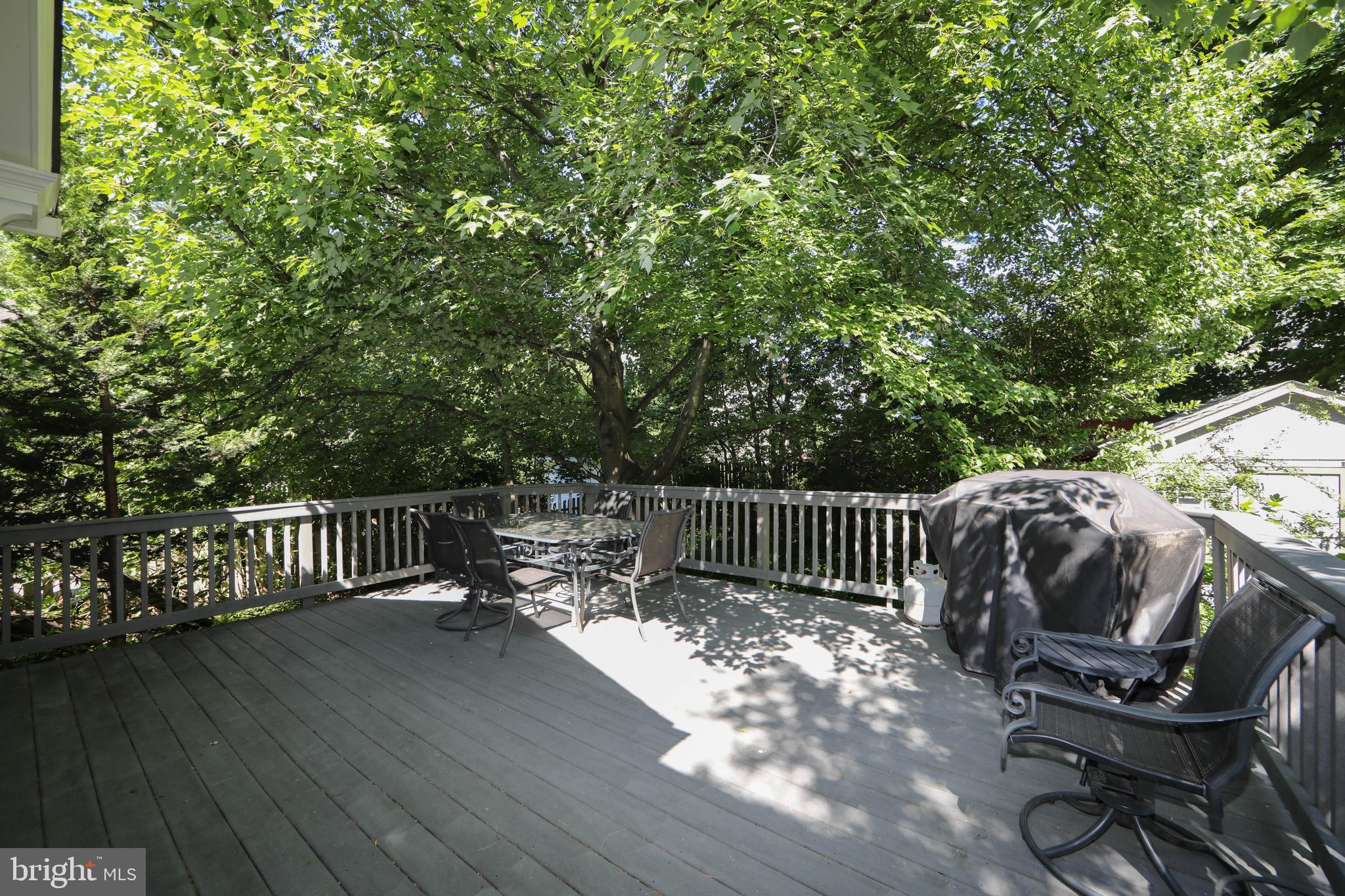 237 Rhoads Avenue Haddonfield, NJ 08033 - Photo 41 of 47 Large trek deck