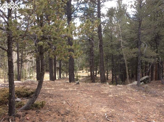 26 Mica Road Divide, CO 80814 - Photo 12 of 14