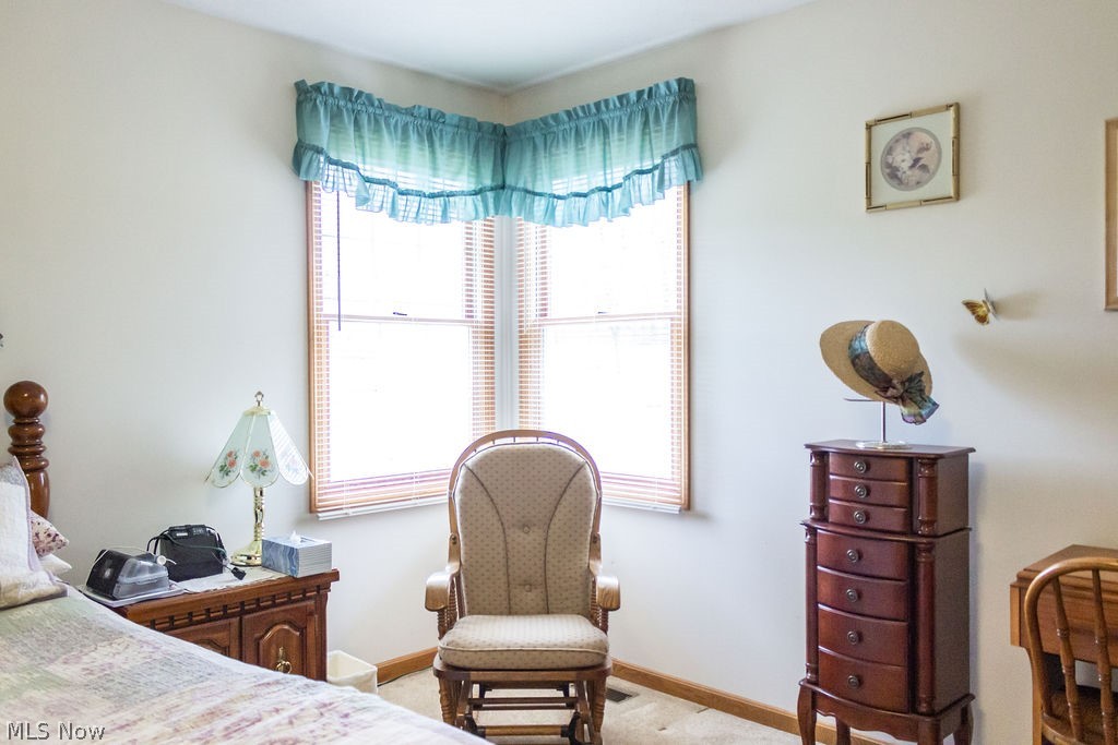 2672 Hayne Road Akron, OH 44312 - Photo 21 of 32 Gallery Image 21