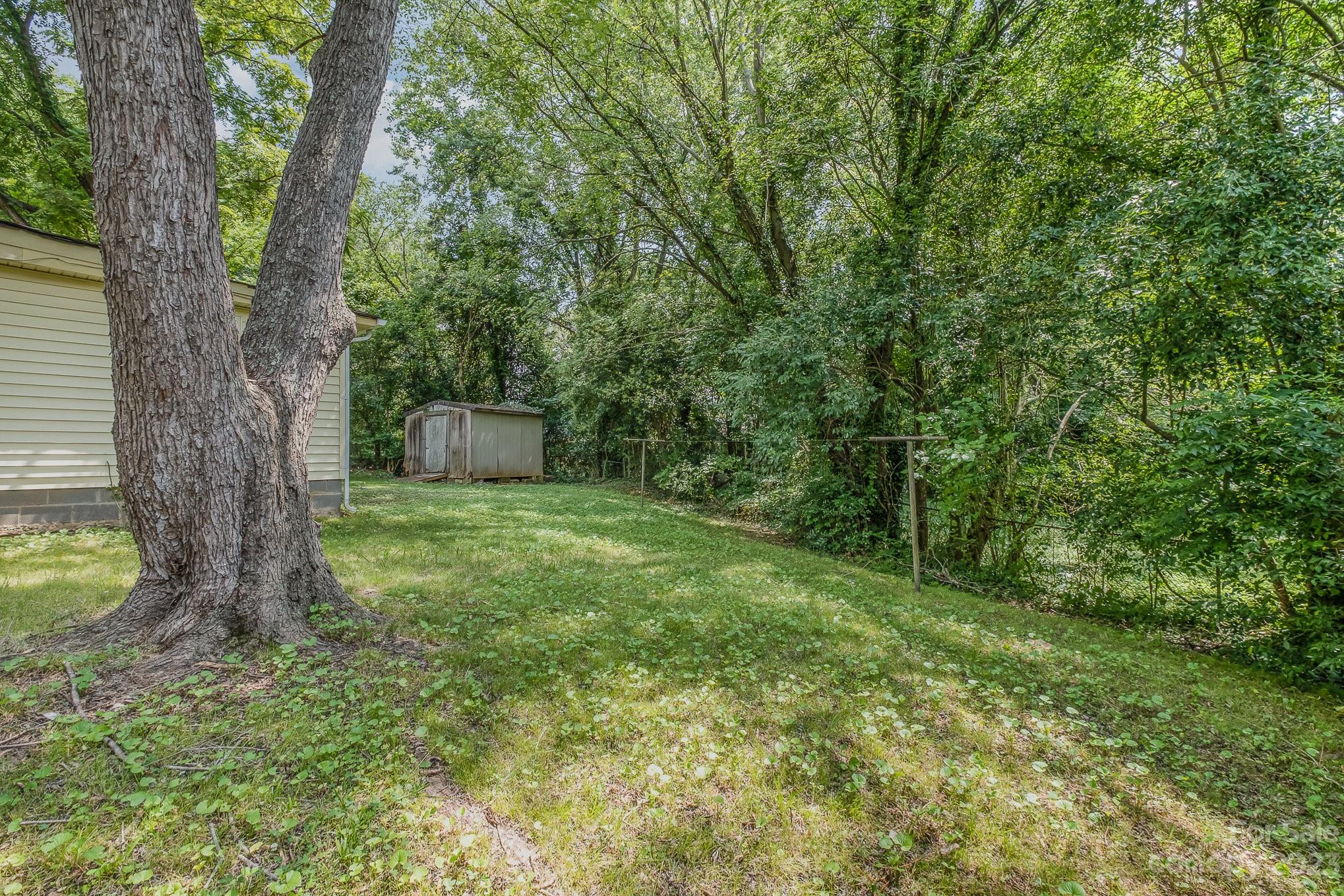 1139 Clanton Road Charlotte, NC 28217 - Photo 22 of 22 a view of a backyard with a tree