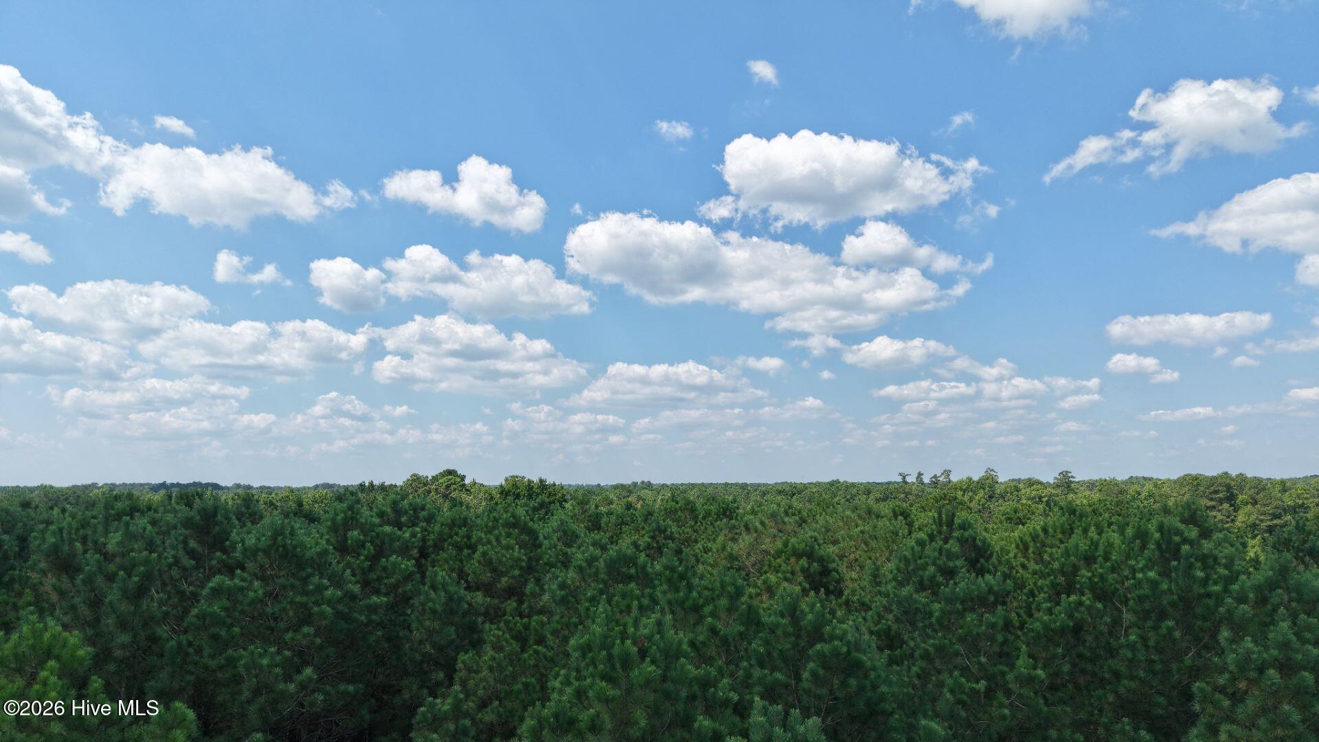 0 Prospect Road Pembroke, NC 28372 - Photo 20 of 45