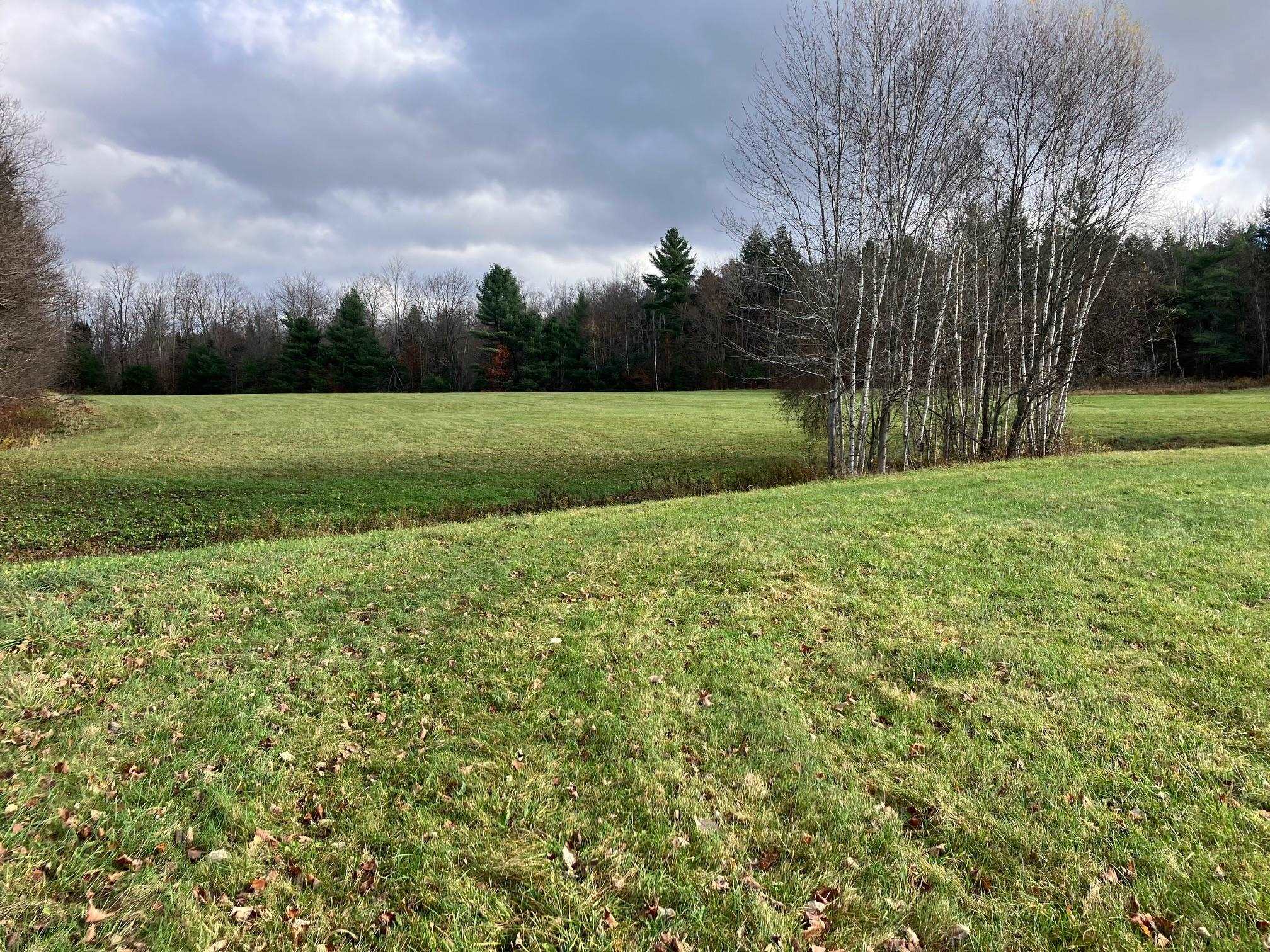 0 Vermont Route 100 Lowell, VT 05847 - Photo 15 of 16