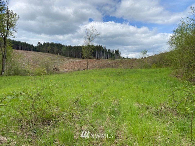 a view of a lake with a big yard