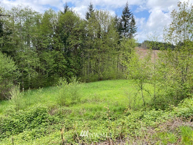 0 Buckhorn Road Winlock, WA 98596 - Photo 13 of 14 a view of a garden