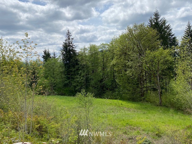 0 Buckhorn Road Winlock, WA 98596 - Photo 2 of 14 a view of an outdoor space and a yard