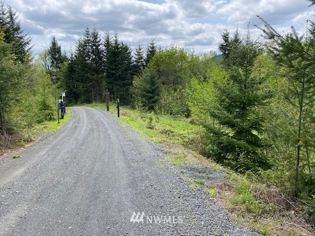 0 Buckhorn Road Winlock, WA 98596 - Photo 3 of 14 a view of a street with a trees in the background