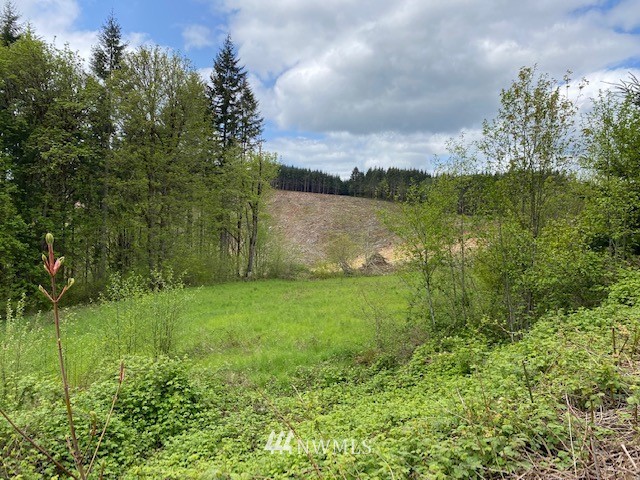 0 Buckhorn Road Winlock, WA 98596 - Photo 5 of 14 a view of a garden with a lake