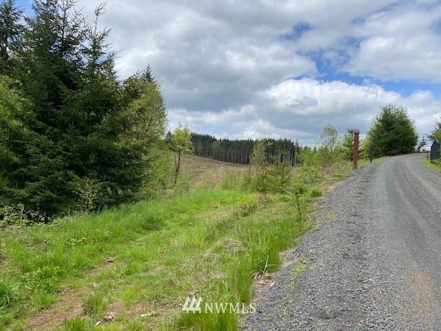 0 Buckhorn Road Winlock, WA 98596 - Photo 6 of 14 a view of a pathway both side of grassy field with shrub