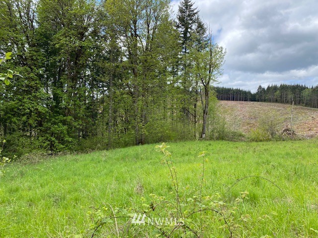 0 Buckhorn Road Winlock, WA 98596 - Photo 8 of 14 a view of a garden