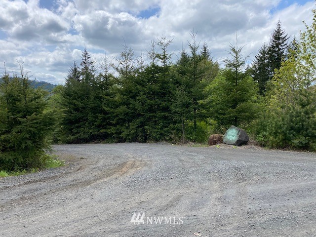 0 Buckhorn Road Winlock, WA 98596 - Photo 10 of 14 a view of a dry yard with trees