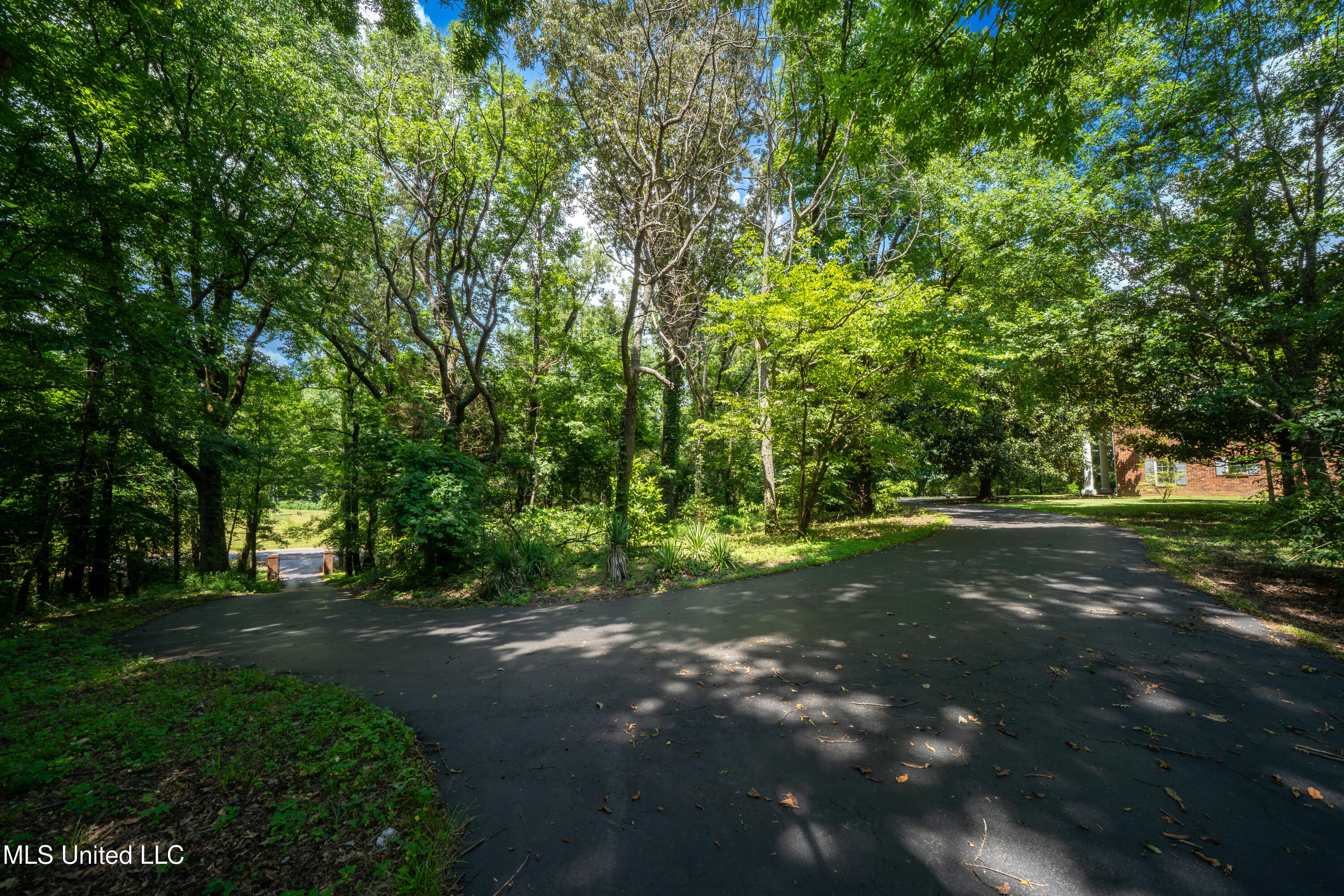 6333 Church Road Walls, MS 38680 - Photo 6 of 44 Tree-lined drive