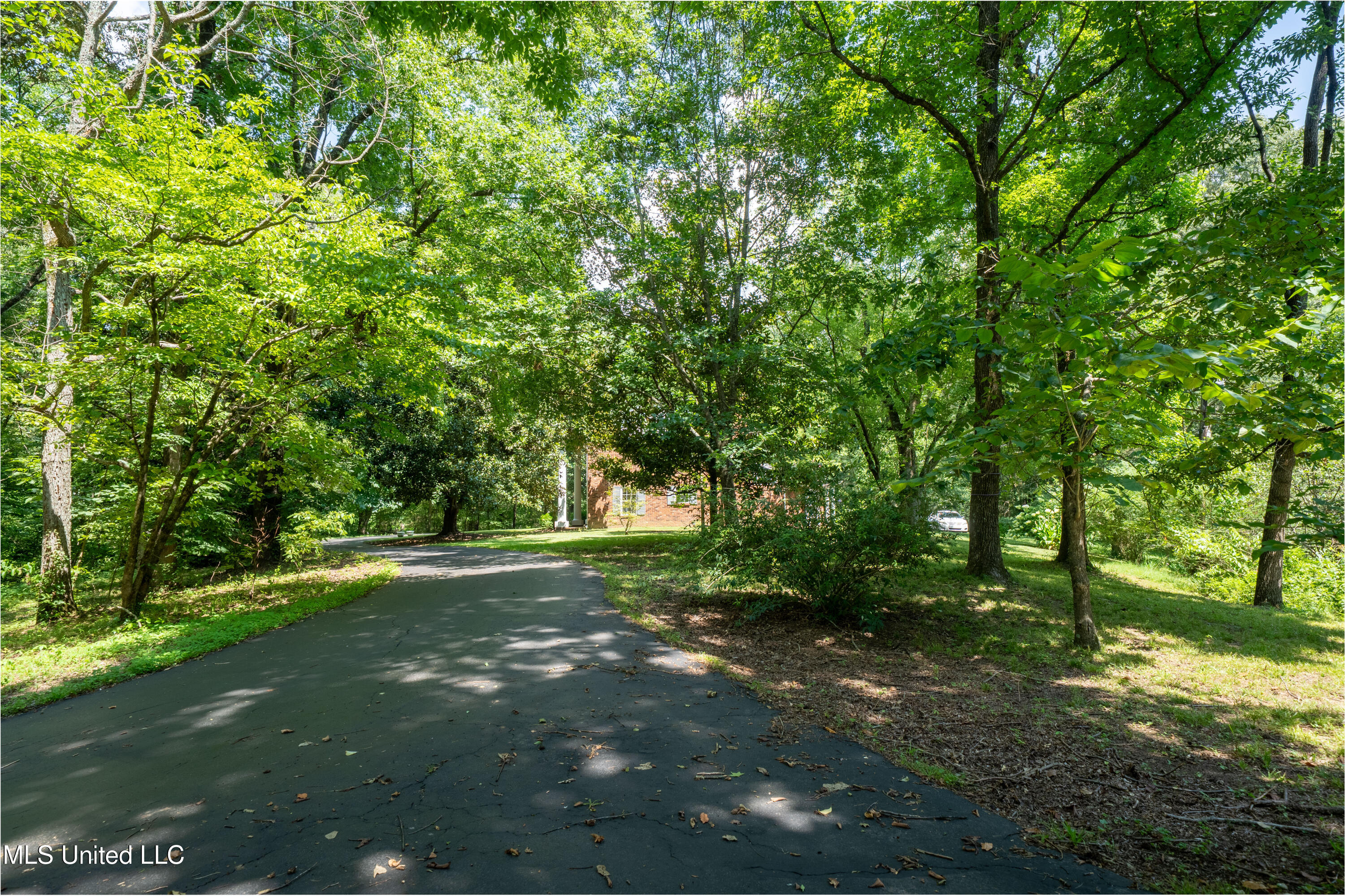 6333 Church Road Walls, MS 38680 - Photo 7 of 44 Driveway