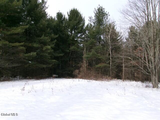 1958 Putnam Road Rotterdam, NY 12306 - Photo 11 of 94 752_2073