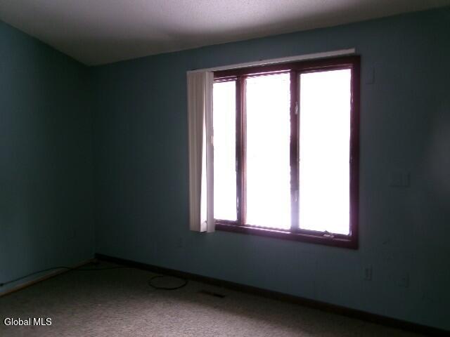 1958 Putnam Road Rotterdam, NY 12306 - Photo 51 of 94 752_2114