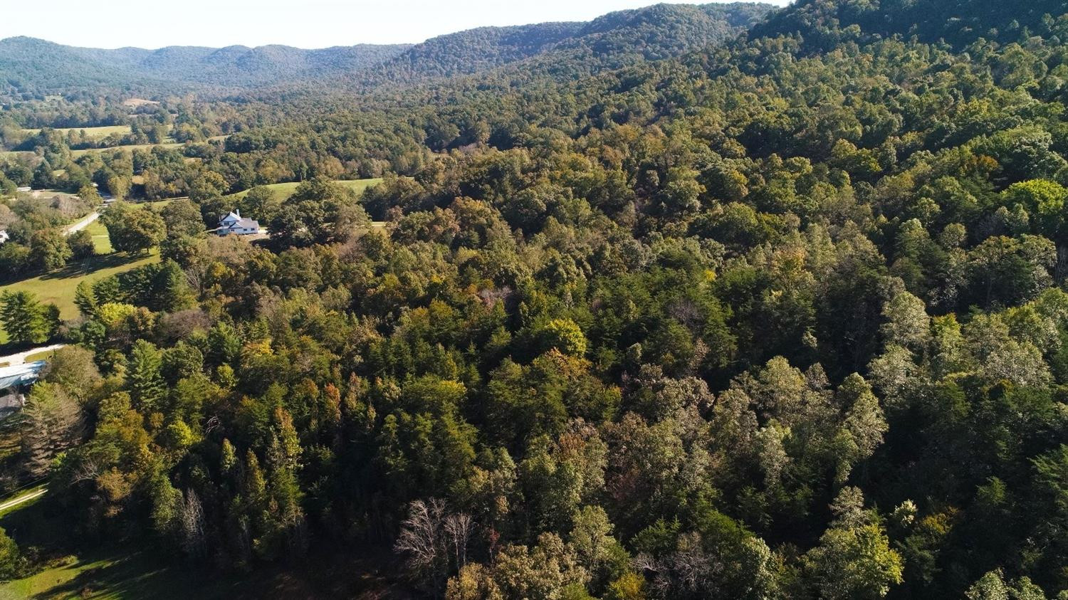60 White Oak Road Irvine, KY 40336 - Photo 10 of 13 The mountains to the rear of the picture