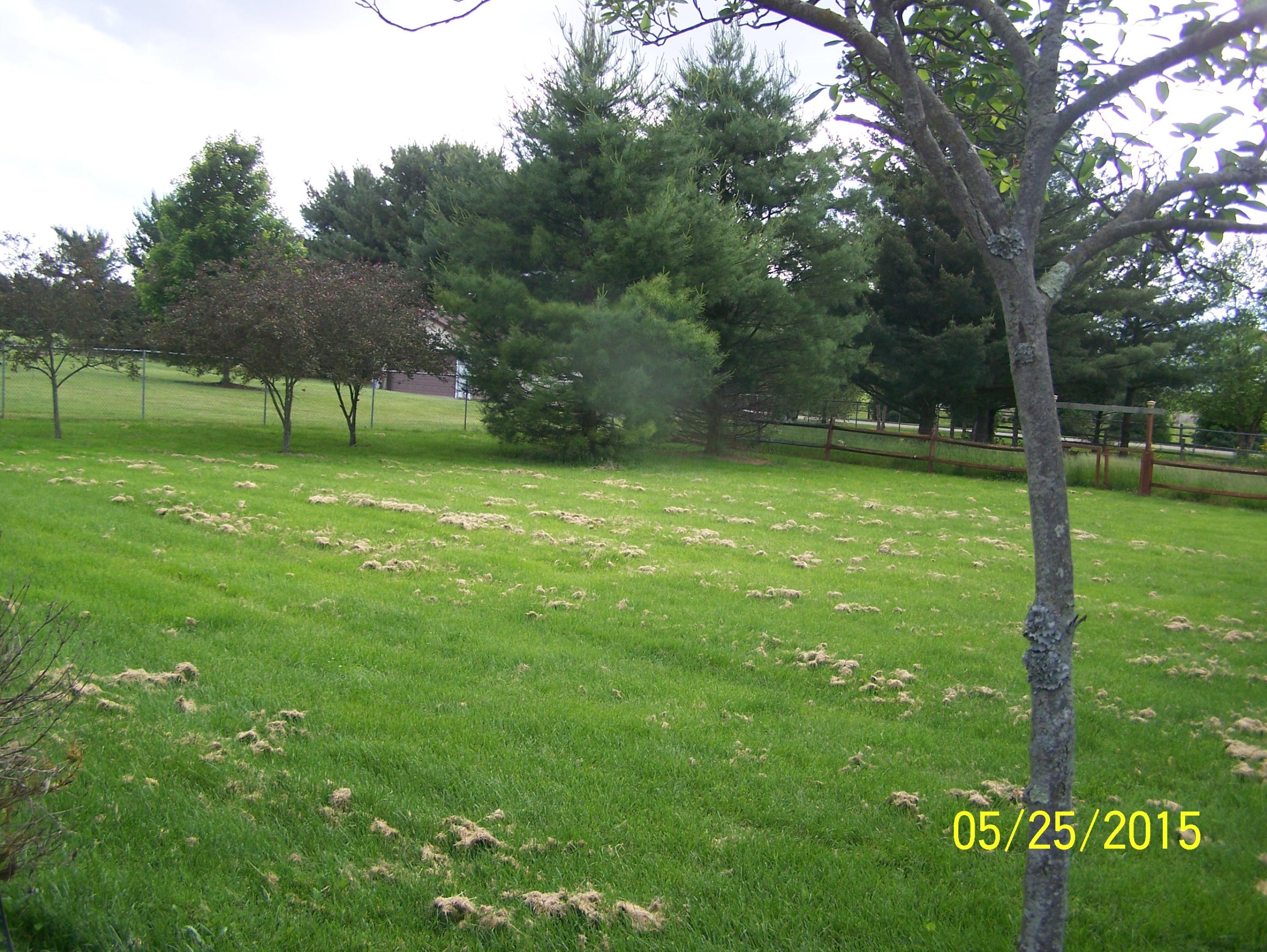 2075 Refugee Road Southwest Hebron, OH 43025 - Photo 19 of 28