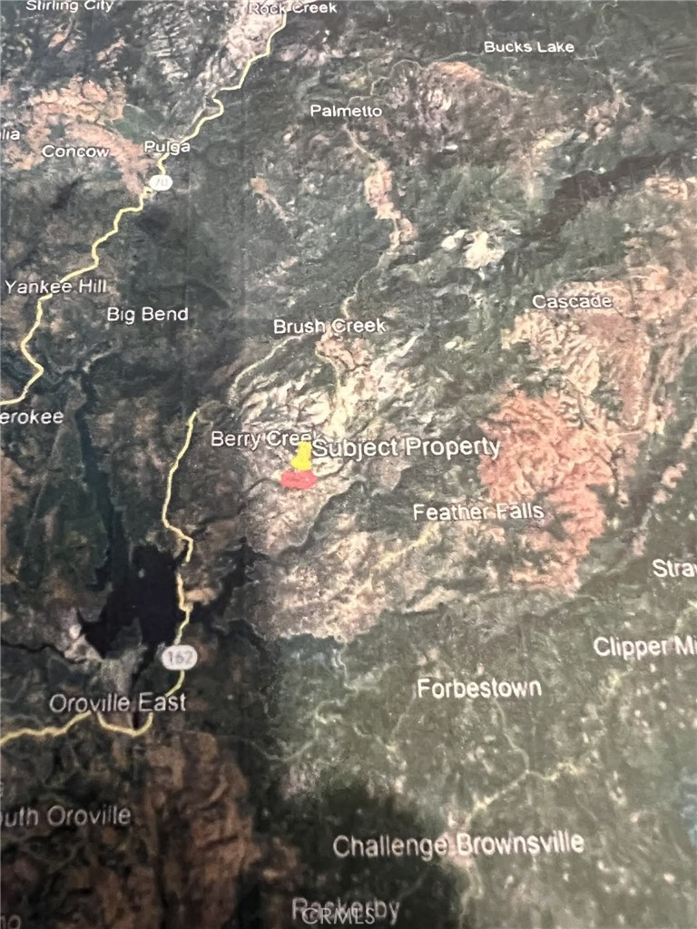 a picture of flowers