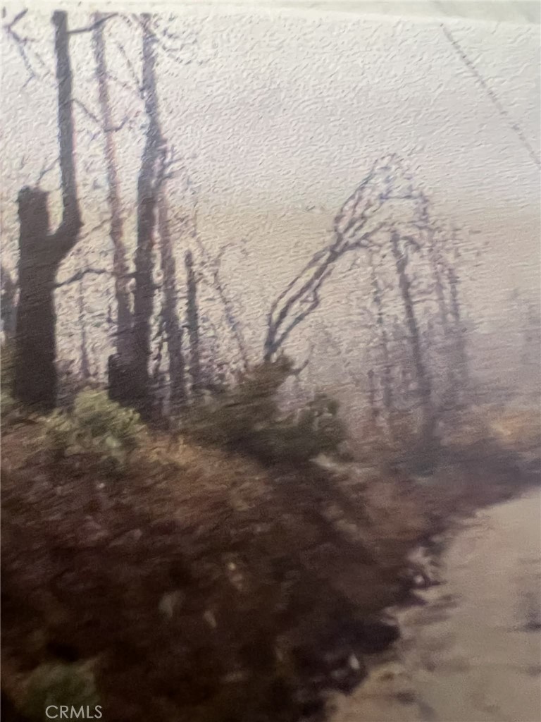 0 Rockerfeller Road Berry Creek, CA 95916 - Photo 11 of 11 a view of a yard with trees in back