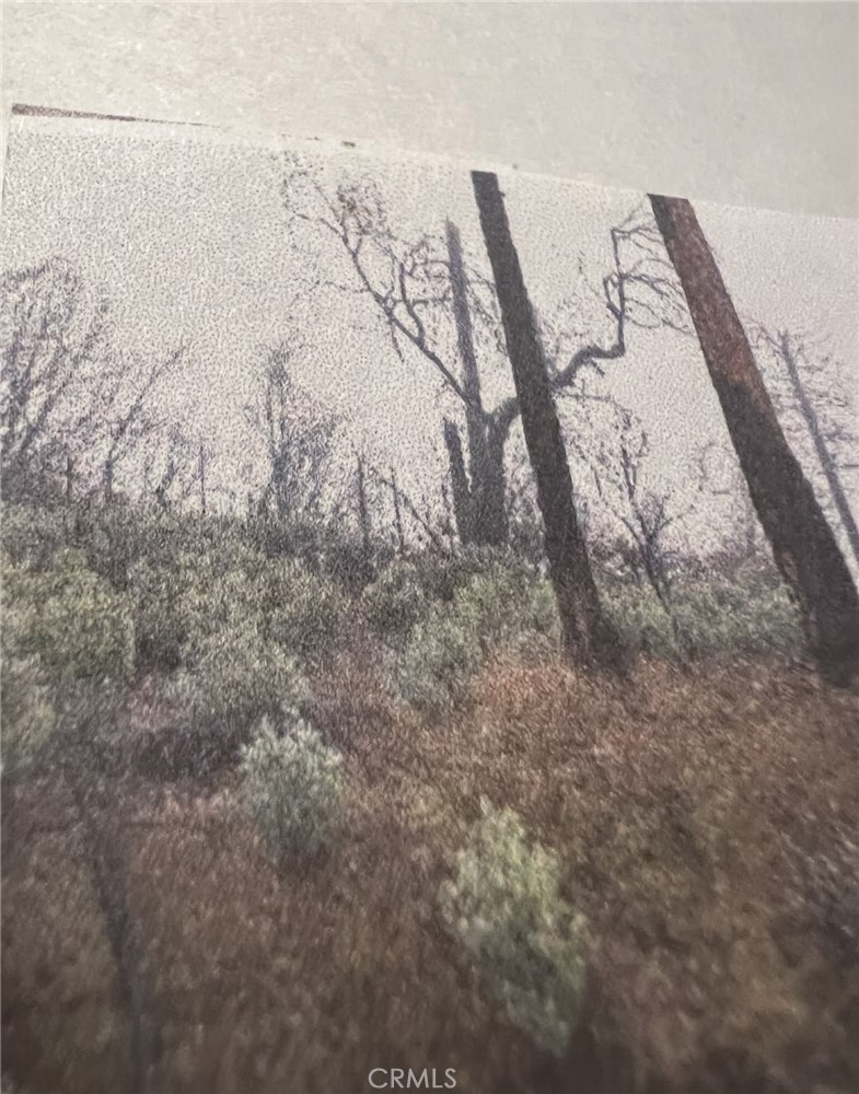 0 Rockerfeller Road Berry Creek, CA 95916 - Photo 3 of 11 a view of a dry yard with trees