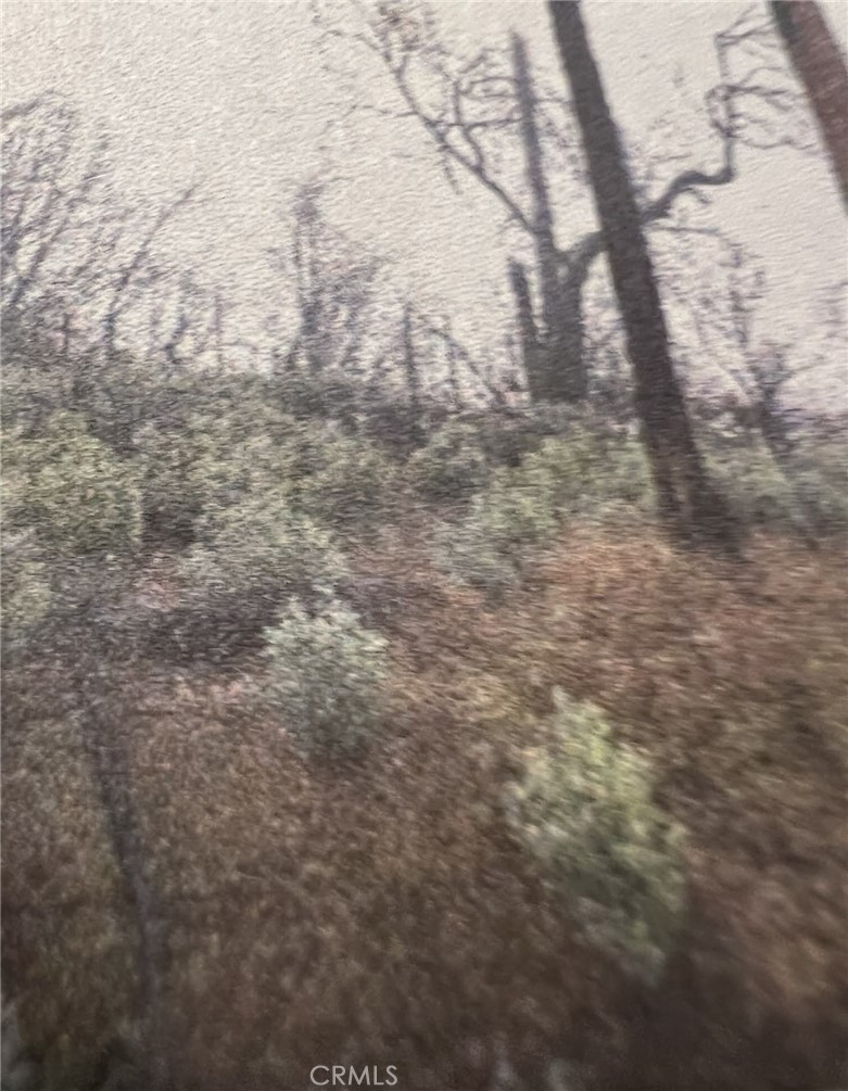 0 Rockerfeller Road Berry Creek, CA 95916 - Photo 4 of 11