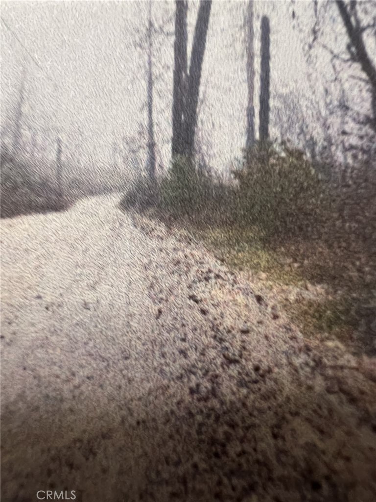 0 Rockerfeller Road Berry Creek, CA 95916 - Photo 5 of 11 a view of empty room with trees
