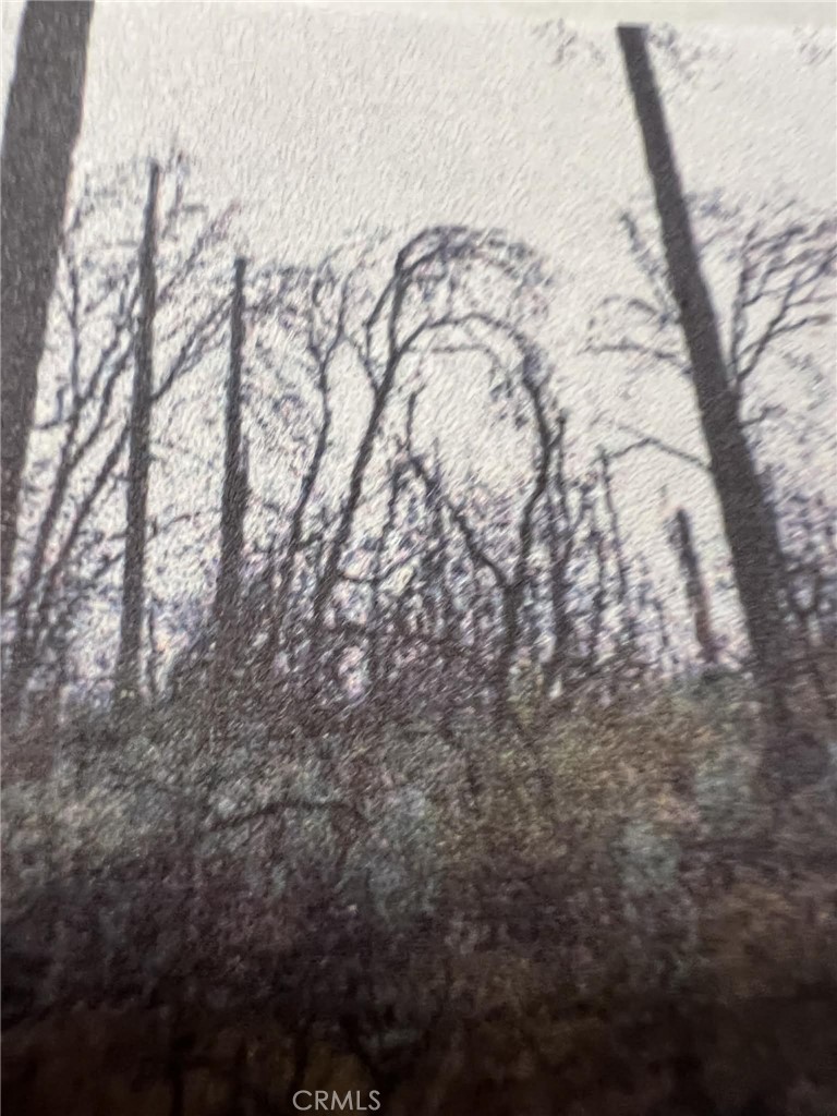 0 Rockerfeller Road Berry Creek, CA 95916 - Photo 6 of 11 a view of outdoor space and covered with snow