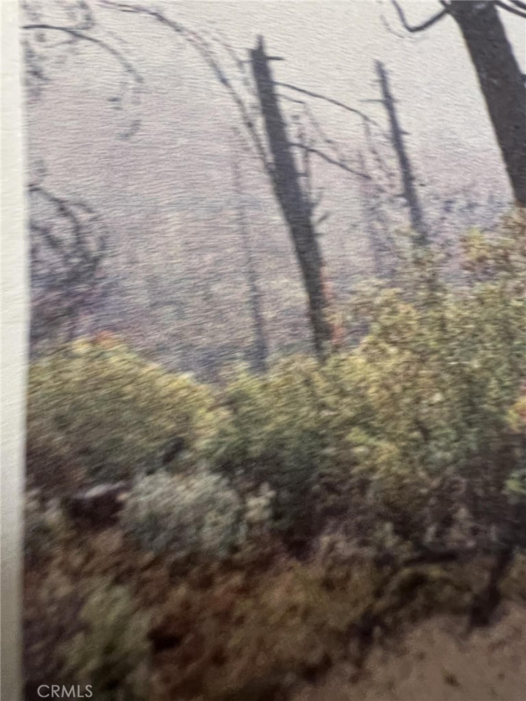 0 Rockerfeller Road Berry Creek, CA 95916 - Photo 7 of 11 a view of a yard