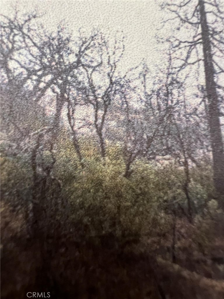 0 Rockerfeller Road Berry Creek, CA 95916 - Photo 8 of 11 a view of city and trees