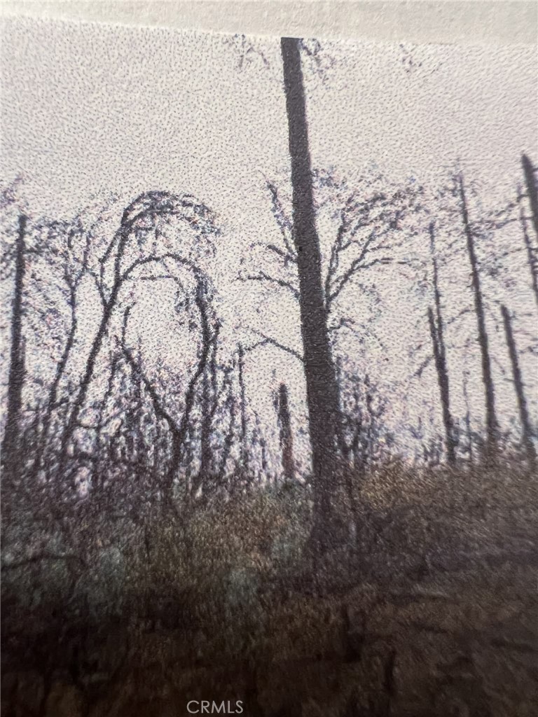 0 Rockerfeller Road Berry Creek, CA 95916 - Photo 10 of 11 a view of a large yard