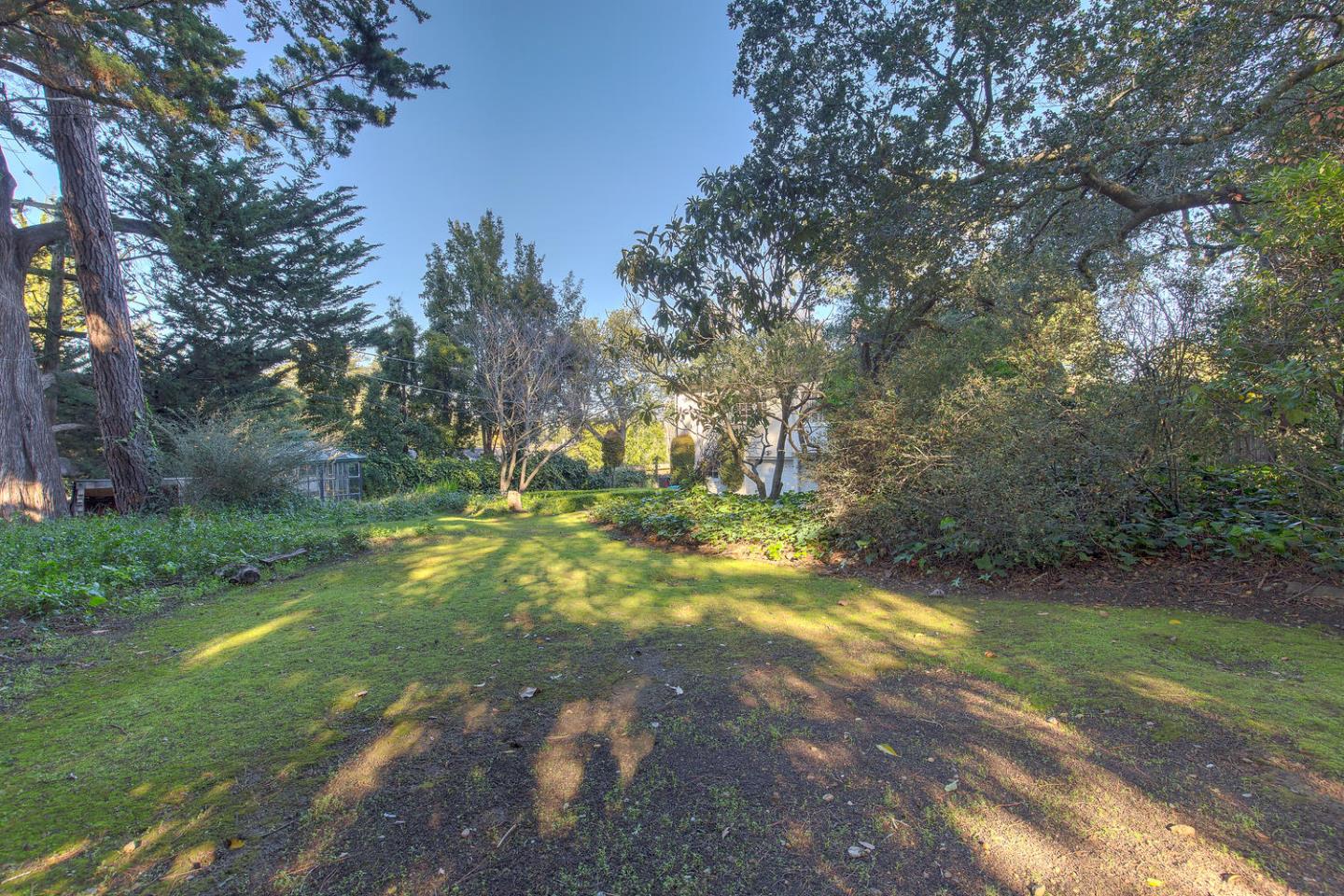 540 Roehampton Road Hillsborough, CA 94010 - Photo 23 of 27 a view of yard with trees