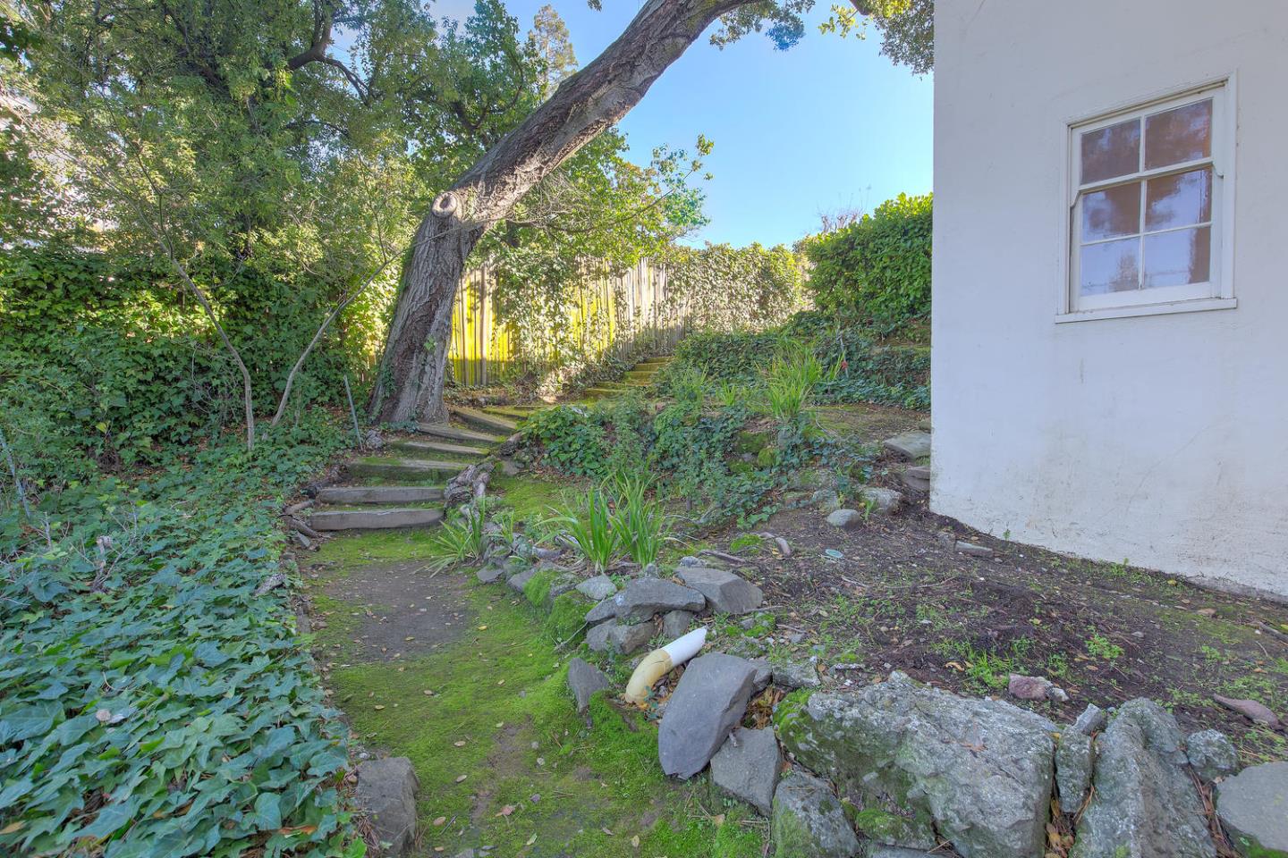 540 Roehampton Road Hillsborough, CA 94010 - Photo 26 of 27 a view of backyard with plants and outdoor seating